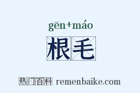 根毛是什么意思的图片